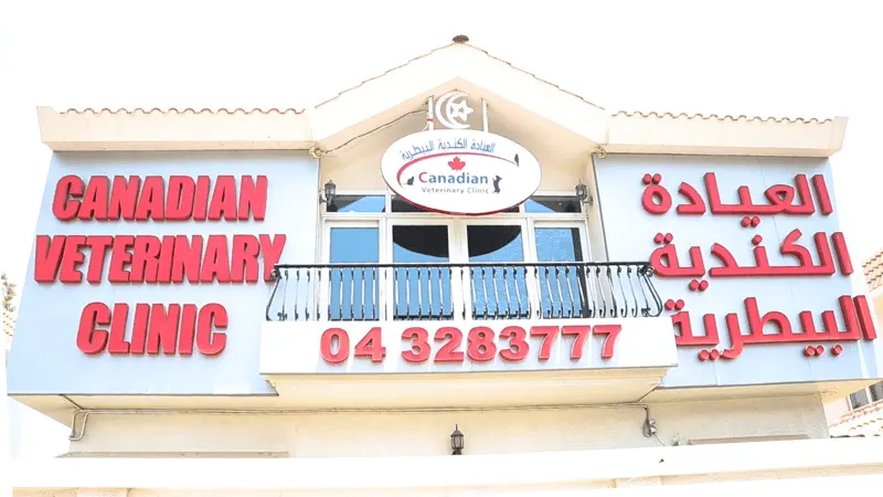 Clinica veterinaria canadese | Dubai