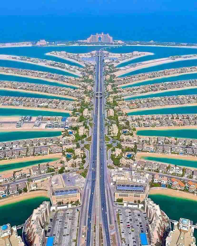 تصویر شماره 2