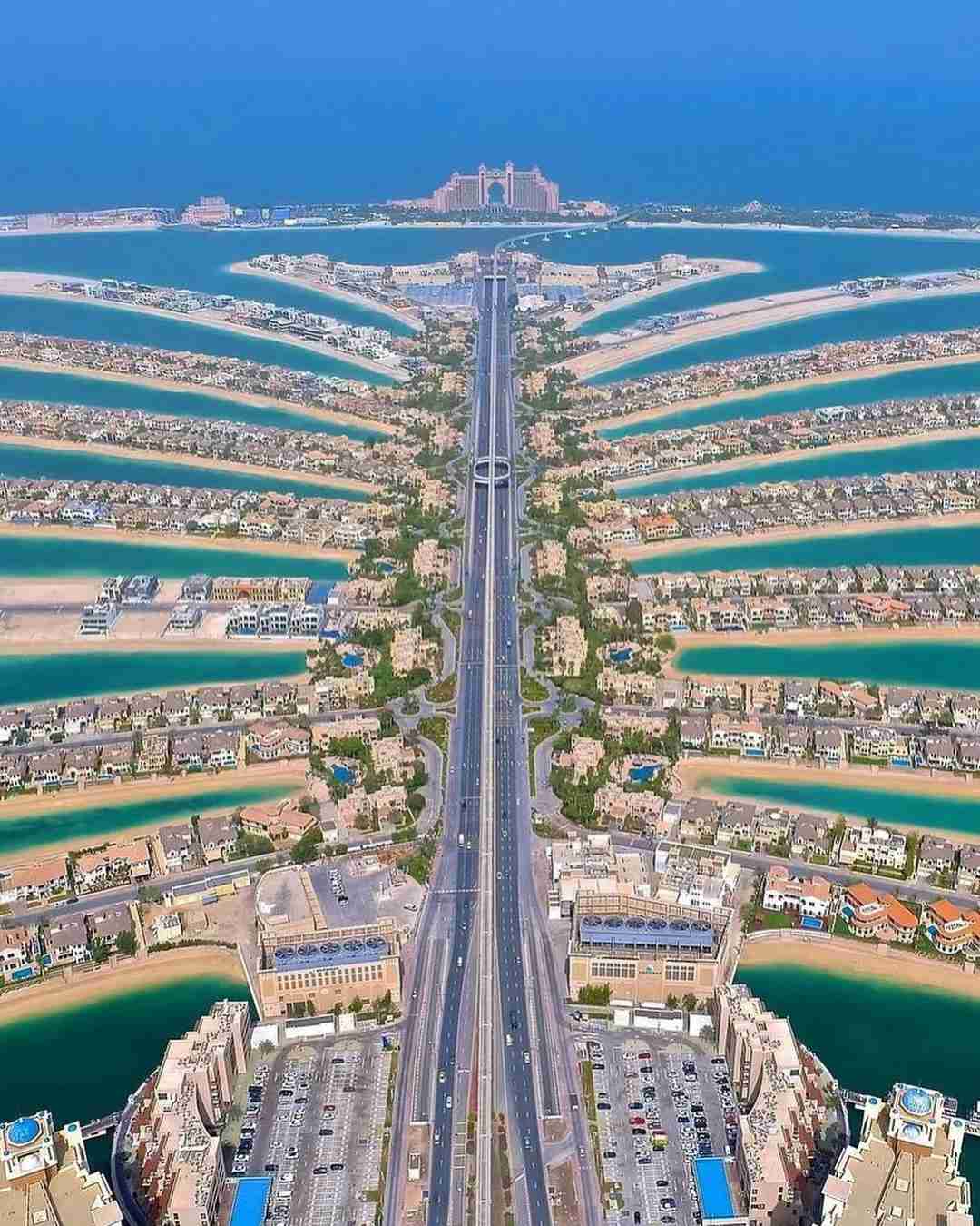 تصویر شماره 3