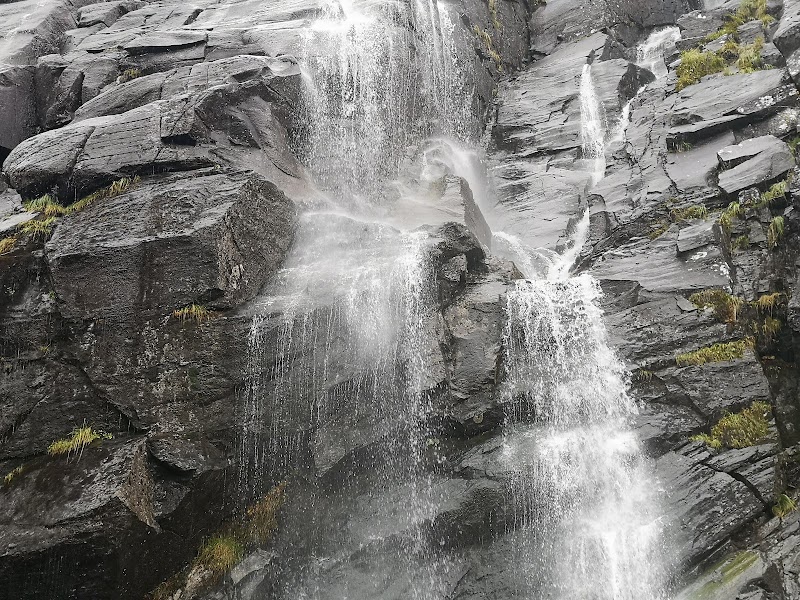 تصویر کاور