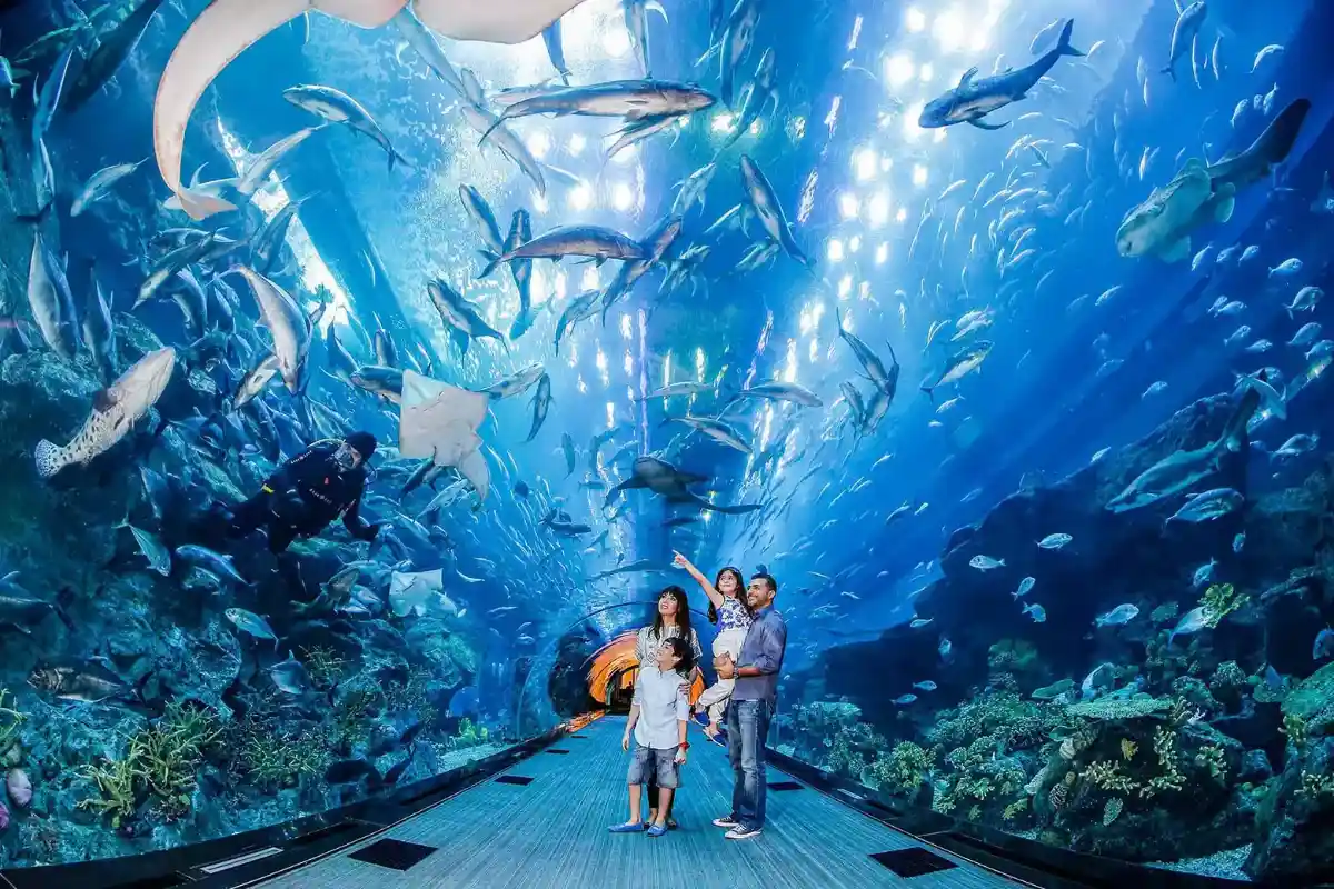 迪拜水族馆的位置和便捷的通道