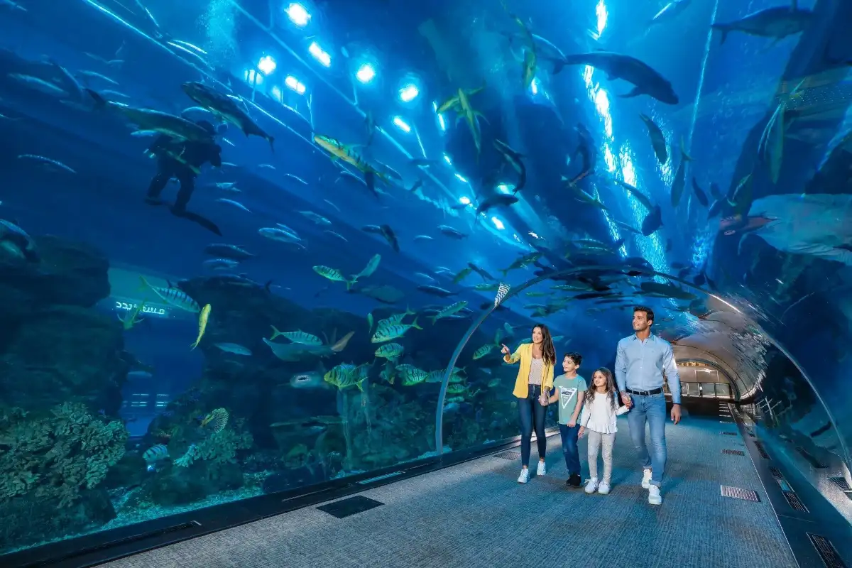 迪拜水族馆的家庭体验，适合儿童
